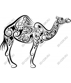 Exquisite black-and-white camel
