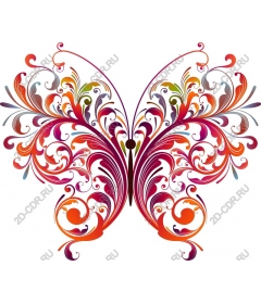  Bright butterfly