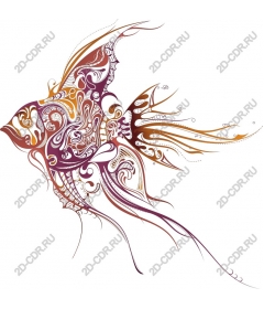 Stunning ornamental fish