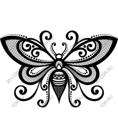  Elegant butterfly