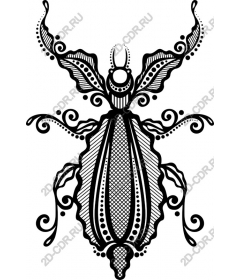  Decorated beetle