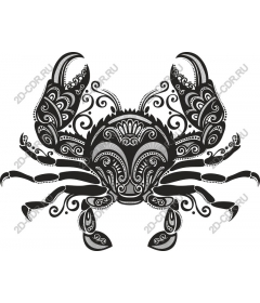 Exquisite black-and-white crab
