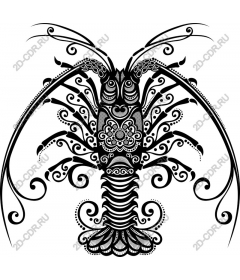  Elegant lobster