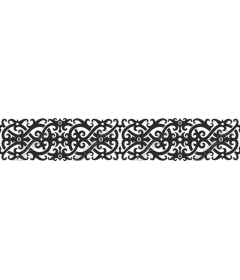  Elegant decorative border