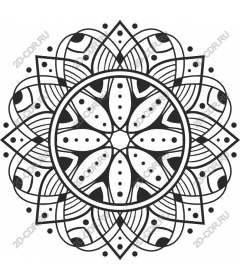 Exquisite Mandala
