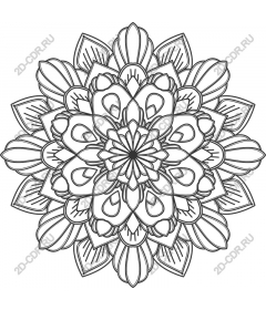 Floral mandala