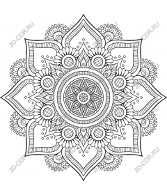 Intricate floral mandala