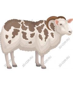  Adorable lamb