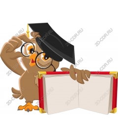 The Wise Graduate Owl