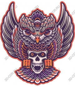  The fusion of an owl and the skull