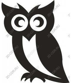  The Wisdom Of Owls
