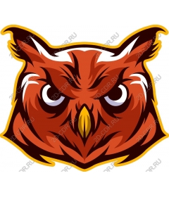 Head fierce owls