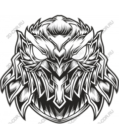 Head fierce owls
