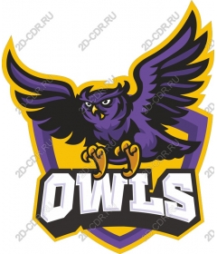 The Mascot Is An Owl