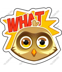 Bizarre reaction owls text