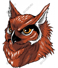 Majestic owl's head
