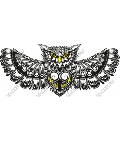  The majestic work of Owls