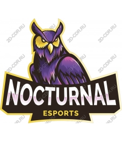 Night eSports