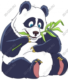  Panda chewing on bamboo