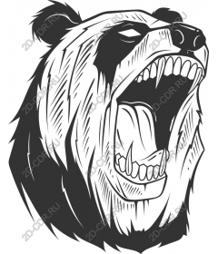 Roaring Bear