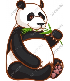  Adorable Panda