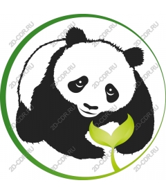  The Panda holds Rostock