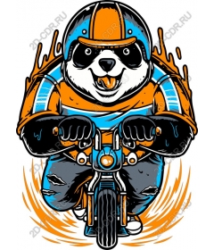 Dynamic motorcycle Panda