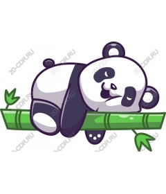  Adorable Panda on bamboo