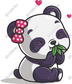  Adorable Panda