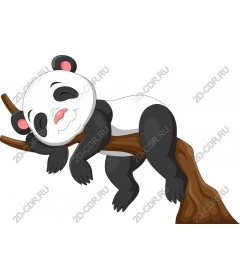  Adorable sleeping Panda