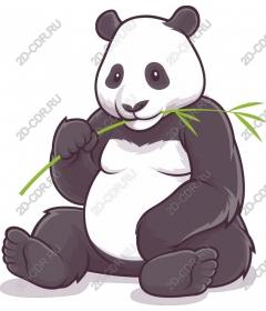  Adorable Panda eating bamboo