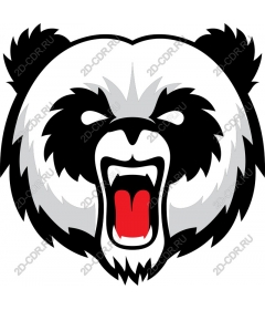  Fierce Panda bear