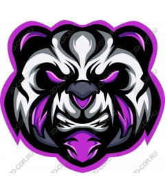  Bright Panda