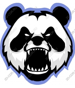  A ferocious roar Panda
