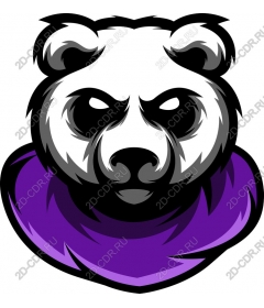 Head of a ferocious Panda