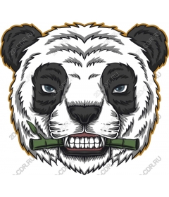  Panda Warrior