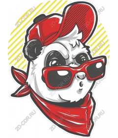  Fashionable Panda