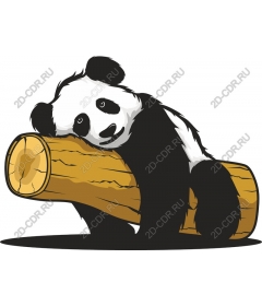 Cute Panda resting on a log