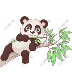  Adorable Panda