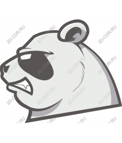  Cool Panda