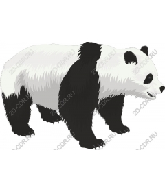  Adorable Panda