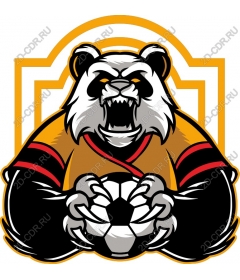  Panda Warrior Football