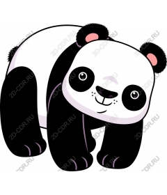  Cute Panda