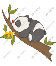 Sleeping Panda on branch
