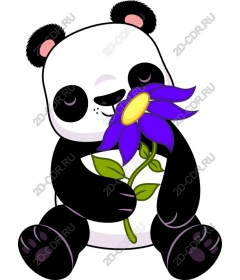  Panda with flower