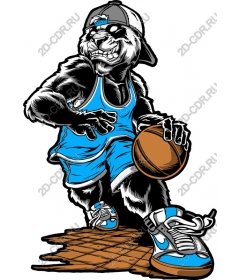  Cool Panda Basketball