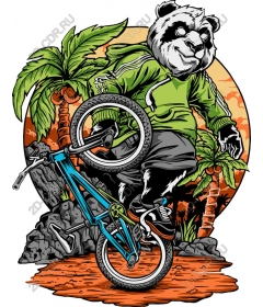 Stunt BMX Panda