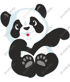  Adorable Panda