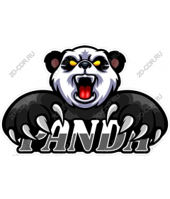  Roar Panda