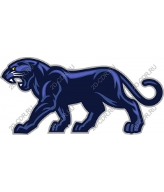  Black Panther